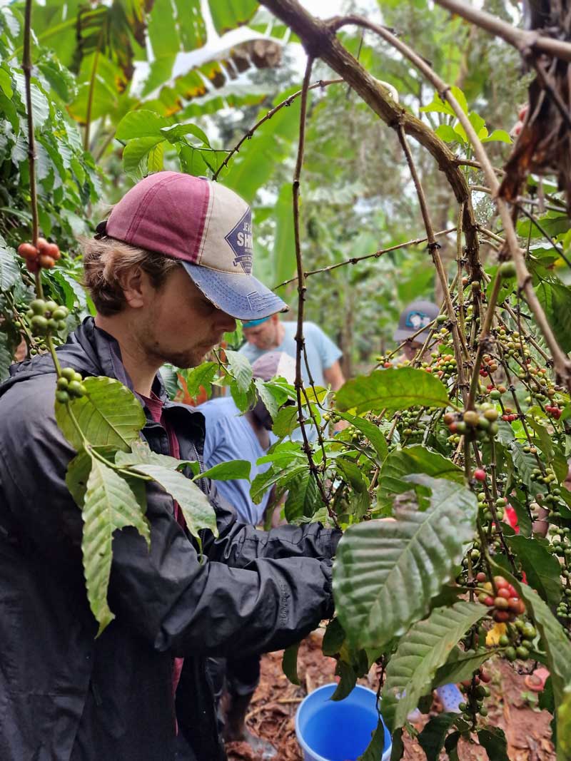 Buja Coffee Tour - Image 8